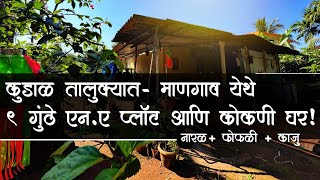 कुडाळ तालुक्यात- माणगाव येथे 9 गुंठे एन.ए प्लाॅट आणि कोकणी घर! | नारळ+फोफळी+काजु | P79