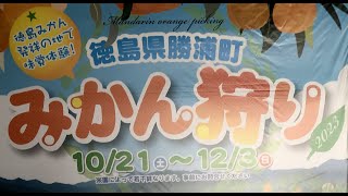 道の駅ひなの里かつうら 2023年11月 【音声無し】