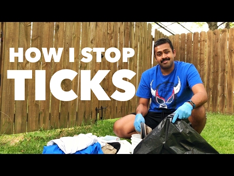 How to stop ticks while hiking and backpacking How to stop ticks while hiking and backpacking