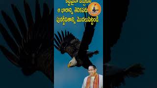 గ్రద్దలాగా బ్రతకండి || గ్రద్ద జీవితం మనకు ఆదర్శం #trengingshorts #viralshort