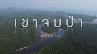 โลพักน้ำ จ.ตรัง เขาจมป่า บ้านน้ำราบ - GoDiveSite