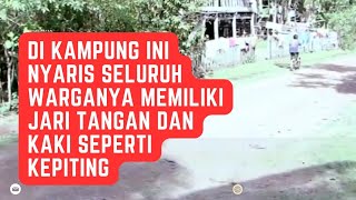 SATU SATUNYA DI INDONESIA, FENOMENA KAMPUNG KEPITING BONE,SULAWESI SELATAN MENYITA BANYAK PERHATIAN