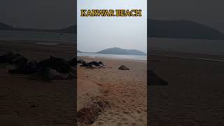 ನಮ್ಮ ಕಾರವಾರ l #beach #karwar  #karnataka #bharatha