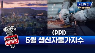 [김현석의 브레이킹 뉴스] 5월 생산자물가지수(PPI) 발표! 6월 13일 오후 9시 30분 L.I.V.E