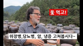 암,당뇨,위장병,냉증에 쓸모있는 지식/옻의 비밀