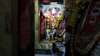 Pannaipuram kaliamman mahanisha kalipuja 2018(1)