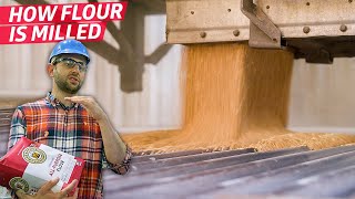 How King Arthur Baking Produces 100 Million Pounds of Flour per Year — Dan Does