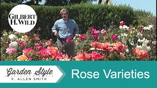 Rose Varieties | Garden Style (115)