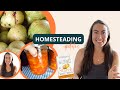 STARCH SOLUTION HOMESTEADING VLOG, PRESERVING FOOD, DR. JOHN MCDOUGALL DIET LIFESTYLE