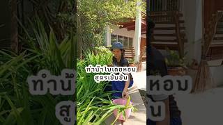 น้ำใบเตยหอมสูตรเข้มข้น #เกษตรป๊อบป๊อบ #diy #โตเต็มฟาร์ม #gardening #ปลูกผักกินเอง