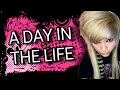 A Day in The Life | Music + Updates