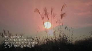 바람 / 김송배    [낭송:한송이]