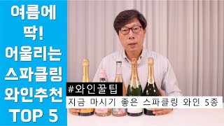 [와인꿀팁] 여름에 마시기 좋은 스파클링 와인 5종 추천 │ 김박사의와인랩