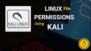 Shell Permissions using KALI LINUX