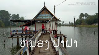 ปลาฝา ตะพาบน้ำ | ສະຫວັນນະເຂດ EP3 |  หนองปลาฝา | Turtle lake | ຫນອງປາຝາ