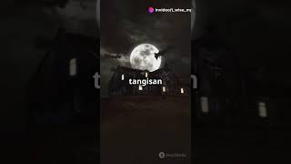 Misteri Kastil Chillingham dan La Llorona #tiktok #facts #trending #faktaunik  #affiliate