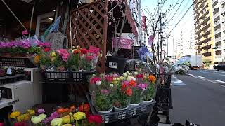 三の輪銀座商店街 3 東京都荒川区