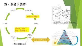 如何提升魚缸穩定度(七) : 生物網