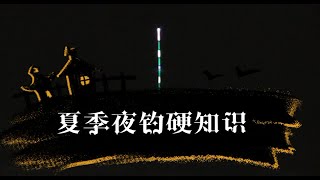 夜钓不同时段鱼情也不同，规律性比白天还明显！夏天夜钓干货分享