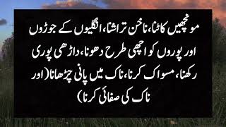 4 Cheezain | Prophet Muhammad Said | Hadees In Urdu | Hadees