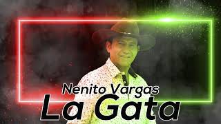 NENITO VARGAS - LA GATA [EN VIVO]