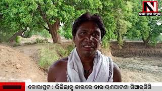 Gaisilat : ୩୨ଜଣ ହିତାଧିକାରୀଙ୍କୁ କାର୍ଯ୍ୟାଦେଶ ବଣ୍ଟନ | Nilachala News