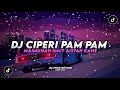 DJ CIPERI PAM PAM MAIMUNAH IMUT AISYAH 🗿🤙 | SLOWED REVERB⚡️