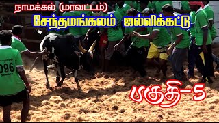 சேந்தமங்களம் ஜல்லிக்கட்டு | நாமக்கல் (மா) | பகுதி - 5 | தங்கம் டிவி | SENTHAMANGALAM JALLIKATTU