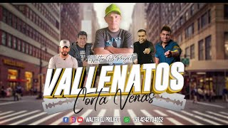 VALLENATOS ✘ CORTA VENAS ✘ VOL.1 - WALTER DJ PROJECT