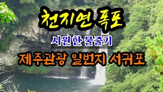 제주여행 일번지 (서귀포 천지연 폭포의 시원한 물줄기) waterfall....Jeiu island.  #천지연폭포 #제주여행