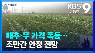 배추·무 가격 폭등…조만간 안정 전망 / KBS  2022.10.10.