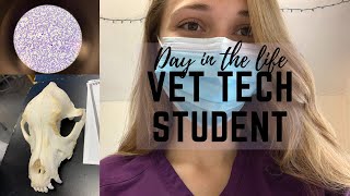 Day in the Life of a Vet Tech Student!