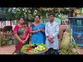 హార్వెస్ట్ చేస్తూ giveaway update మీ కోసం harvesting organic vegetables in garden ach gardening vlog