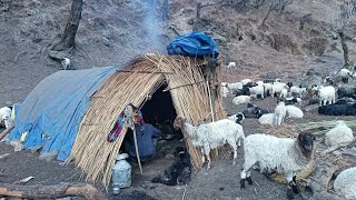 Nepali Himalayan Sheep Shepherd Life | Organic Shepherd Food Cooking | Real Villages Life Nepal |