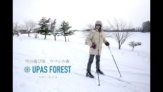 北海道東神樂森林公園。冬季限定雪上活動好好玩