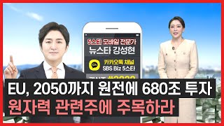 🌟EU와 이집트, 원전 사업에 '조 단위'가 왔다갔다! 원자력에 주목하세요😲