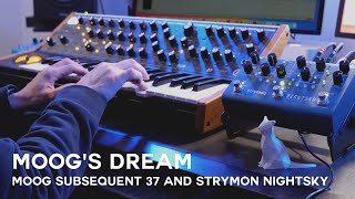 Moog's dream | Ambient music with Moog Subsequent 37 and Strymon Nightsky