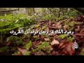 إن القرار الذي يتخذه الإنسان في شأن مصيره ، قلَّما تنقضه الأيام .... للدكتور محمد راتب النابلسي