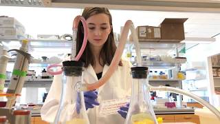 Cornell BME Undergraduate Spotlight: Elizabeth Weiss