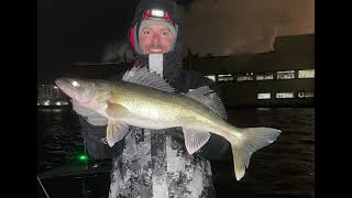 How to Catch Walleyes on the Fox River | DePere Wi