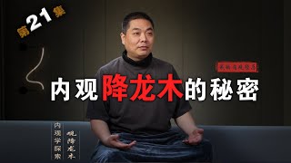 内观降龙木的秘密《我的内观经历》21集 中药草药太极武术柔道内证观察中医药大学内经针灸呼吸法门经络五行把脉传承的东方科学