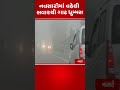 નવસારીમાં વહેલી સવારથી ગાઢ ધુમ્મસ navsari fog gujaratweather weather tv9gujarati shorts