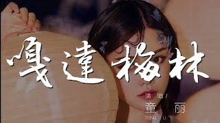 嘎達梅林 - 童麗『不落長江不呀不起飛』【動態歌詞Lyrics】