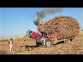 Mf 385 tractor power stunts | Massey Ferguson Tractor Performance | Nadeem Vlog | @PramodsLife