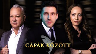 Hogyan építenek 💩-ból várat a CÁPÁK? 🦈 Cápák között 2025