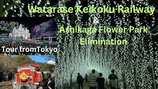 A day trip from Tokyo. ”Watarase Keikoku Railway. ”And ”The illuminations of Ashikaga Flower Park”