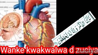 Maganin Wanke kwakwalwa d zuciya daga Dr Muhammad