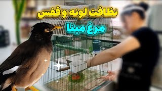 چجوری قفس مینامو تمیز کنم / روتین نظافت قفس مرغ مینا☺️💫