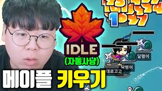 결국 출시된 메이플스토리 키우기, 자동사냥+방치모드까지 ㅁㅊㅋㅋ [테스터훈]