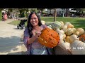 bishop pumpkin farm wheatland ca🇺🇸🇵🇭